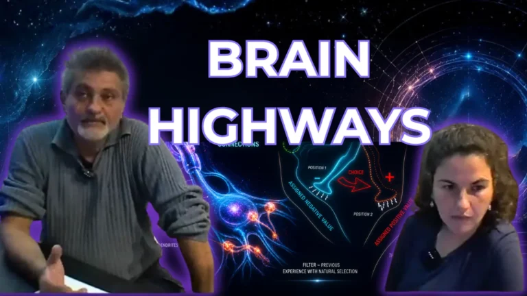The-shift--Brain+Highways